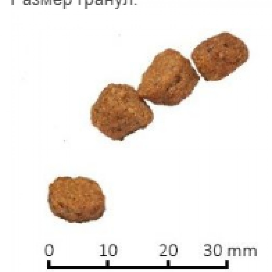 <p><strong>Hrana echilibrată premium cu pui și orez&nbsp;</strong><strong>pentru pisici adulti,&nbsp; la kg&nbsp;</strong></p>