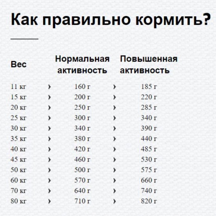 <p><strong>Pentru c&acirc;inii v&acirc;rstnici de rase medii și mari</strong><br />
&nbsp;</p>