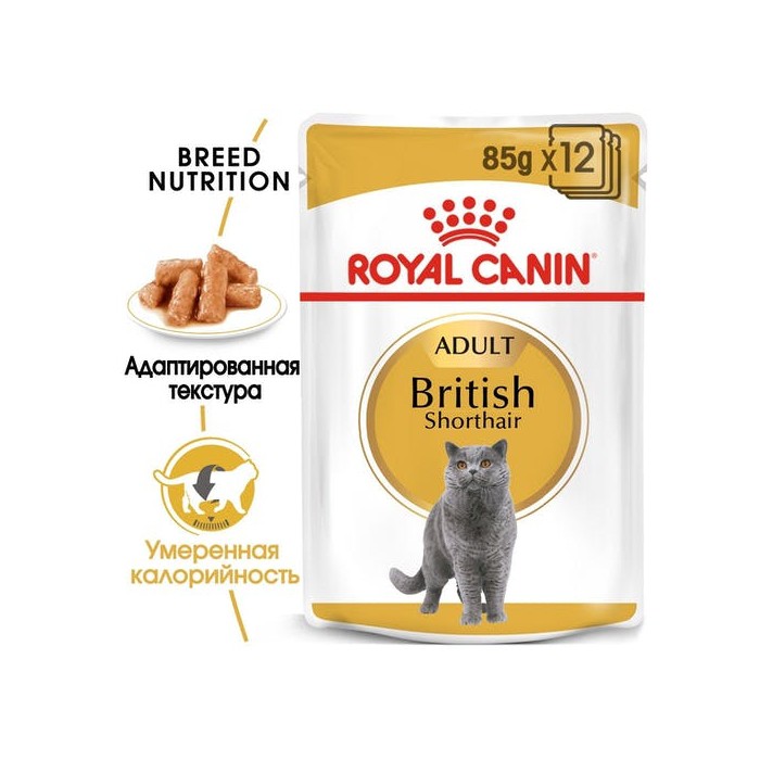 <p><strong>Hrană umedă completă adaptată nevoilor nutriționale specifice ale pisicii adulte din rasa British Shorthair, cu v&acirc;rsta peste 12 luni (carne mărunțită &icirc;n sos).</strong></p>