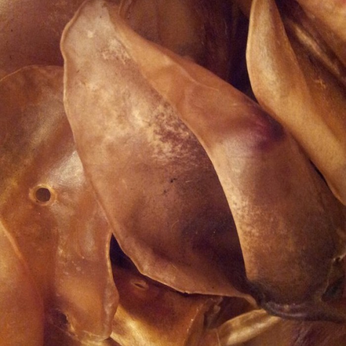 <p><strong>Urechi de vita uscate</strong></p>

<p><strong>de la 50&nbsp;pina la 55 gr</strong></p>

<p><strong>de la 19 pina la 23 cm</strong></p>