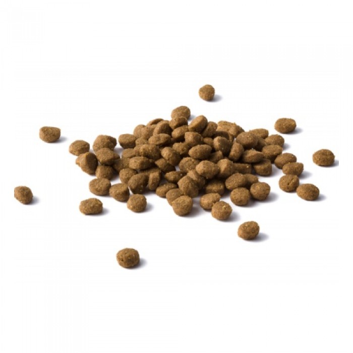 <p><strong>Сбалансированный сухой корм с лососем для кошек с чувствительным пищеварением&nbsp;</strong><strong>Cat Chow&reg;&nbsp;Sensitive с лососем</strong></p>