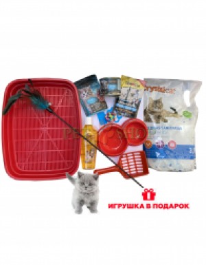 <p><strong>Набор для котенка: 10 товаров первой необходимости -&nbsp;игрушка в подарок. Доставка БЕСПЛАТНО!</strong></p>