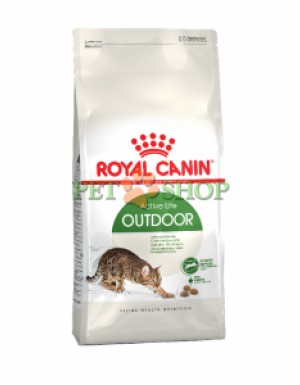 <p><strong>Royal Canin - Корм для активных кошек, часто бывающих на улице</strong></p>