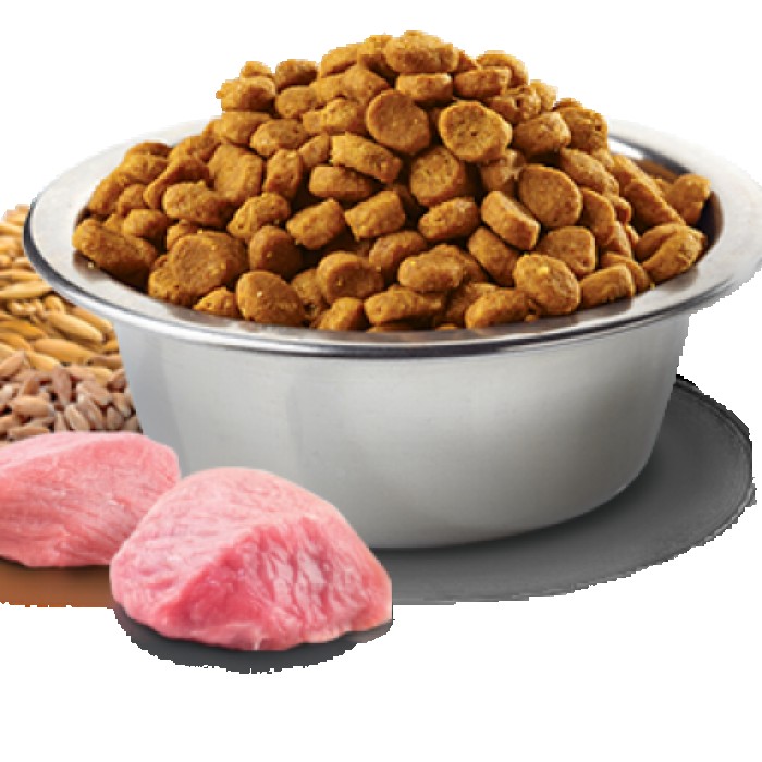 <p><strong>Hrana uscata&nbsp;pentru pisici adulte cu pui și rodie 10 kg.</strong></p>