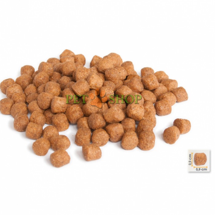 <p><strong>Micho Adult Cat&nbsp;корм был разработан специалистами по питанию домашних животных с применением технологии экструдирования для повышения качества продукции.</strong></p>