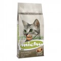 Micho Adult Cat