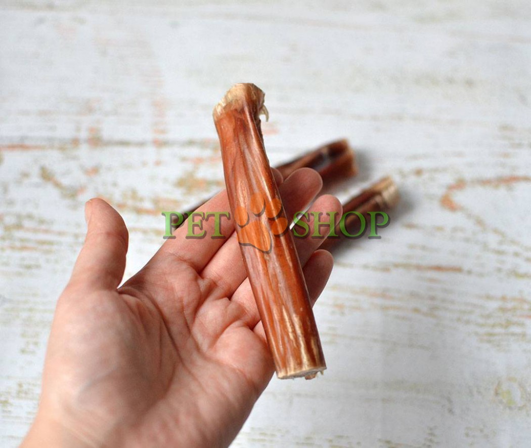 <p><strong>Сушеный бычий корень - лучшее лакомство&nbsp;для собак! Цена за 18-20&nbsp;грамм</strong></p>