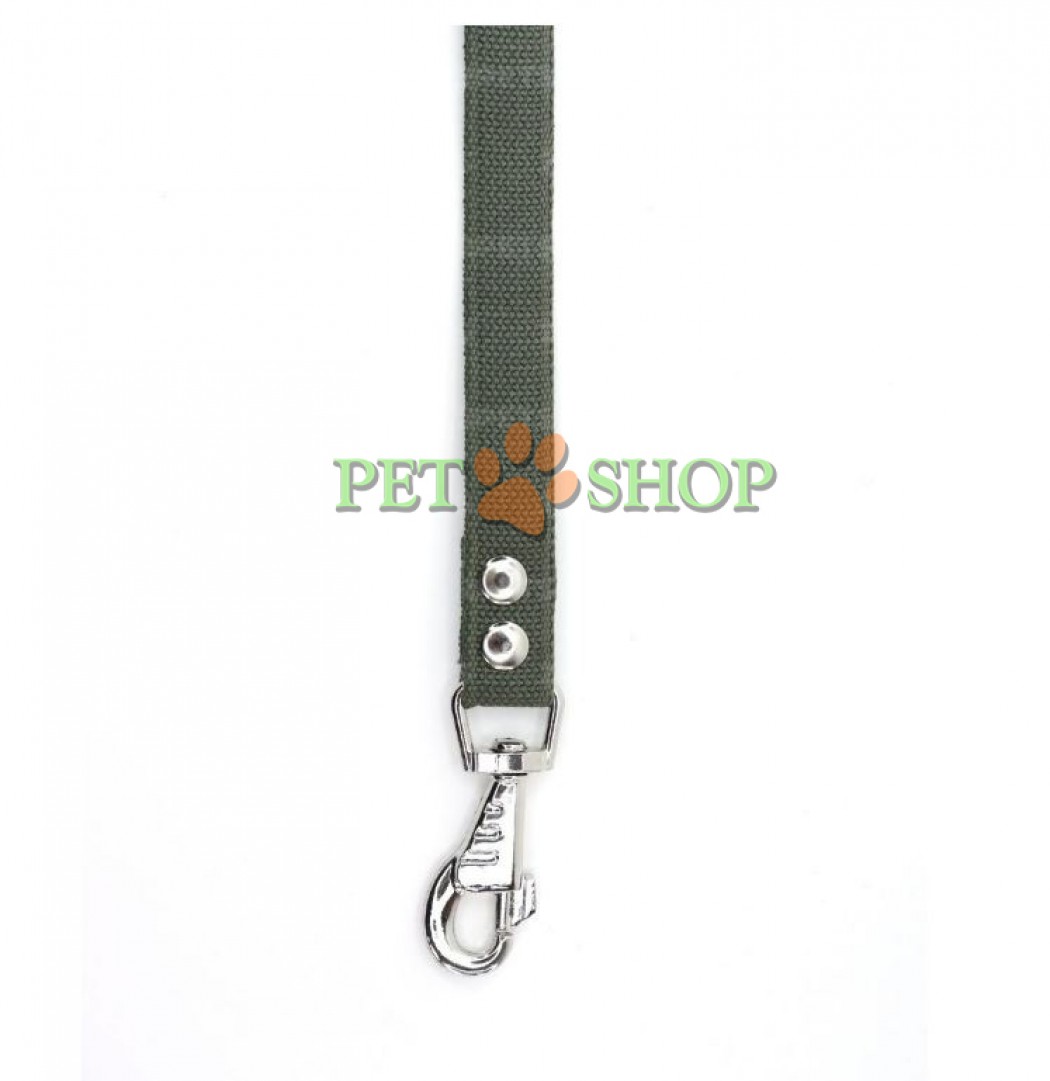 <p><strong>Lesă de prelată pentru c&acirc;ini, lungime 1,5 m, latime 20 mm, verde</strong></p>