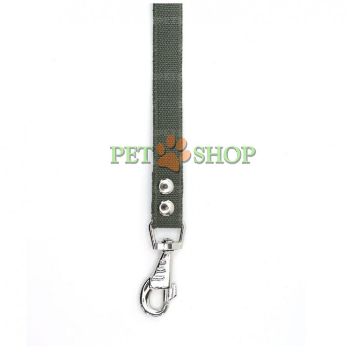 <p><strong>Поводок для собак брезентовый, длина 2</strong><strong>&nbsp;м, ширина 2&nbsp;мм, разные цвета</strong></p>