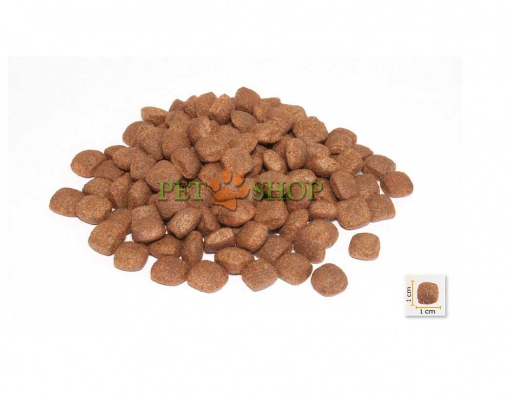 <p><strong>BonaCibo Puppy Lamb,&nbsp;Rice содержит оптимальный баланс белков, жиров и углеводов для обеспечения здорового роста за счет улучшения обмена веществ и развития костей в организме.</strong></p>