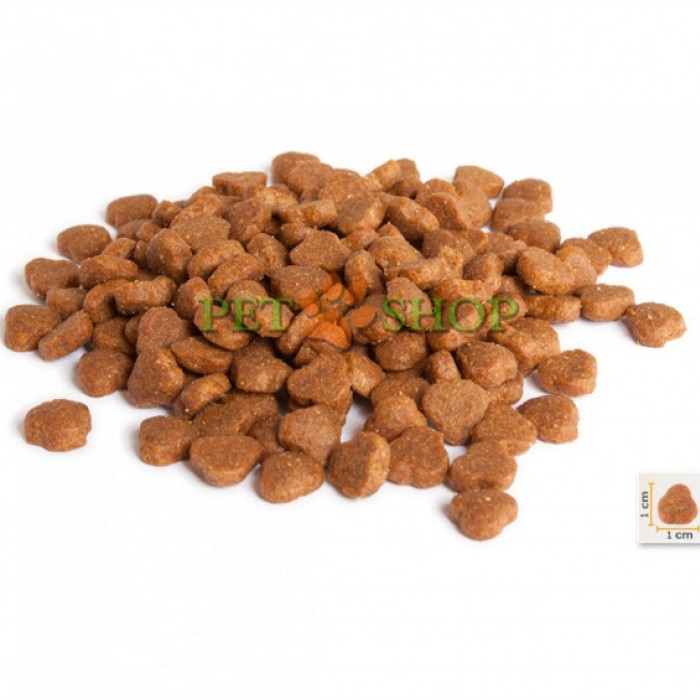 <p><strong>BonaCibo Adult Cat Lamb,&nbsp;Rice содержит оптимальный баланс белков, жиров и углеводов обеспечивает вашу кошку энергией и жизненными силами на протяжении всей жизни.</strong></p>