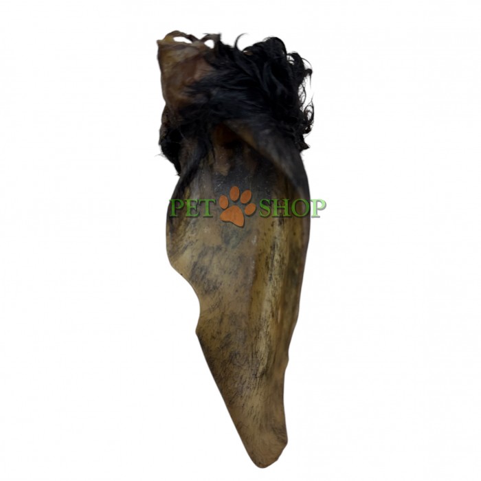 <p><strong>Польза ушей очень велика, ведь в них присутствует большое количество витаминов &ndash; С, группы В, РР, А, Е, минералов &ndash; железа, кобальта, фтора, фосфора, калия, марганца, а также никотиновой кислоты, лецитина. Около 35 грамм.</strong></p>