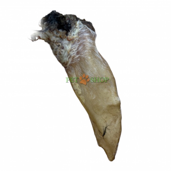 <p><strong>Польза ушей очень велика, ведь в них присутствует большое количество витаминов &ndash; С, группы В, РР, А, Е, минералов &ndash; железа, кобальта, фтора, фосфора, калия, марганца, а также никотиновой кислоты, лецитина. Около 35 грамм.</strong></p>