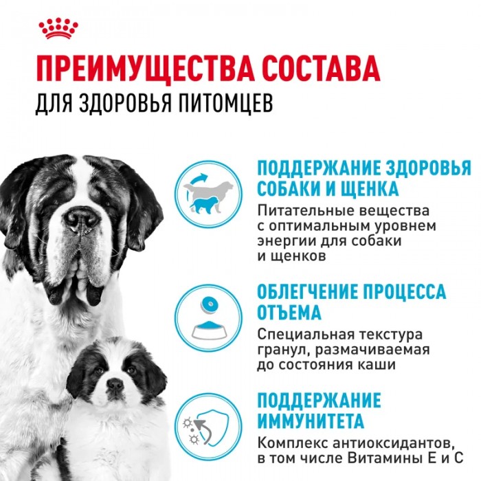 <p>Royal Canin Giant Starter Корм сухой для щенков&nbsp;(вес взрослой собаки более 45 кг) очень крупных размеров до 2 месяцев, беременных и кормящих сук.</p>
