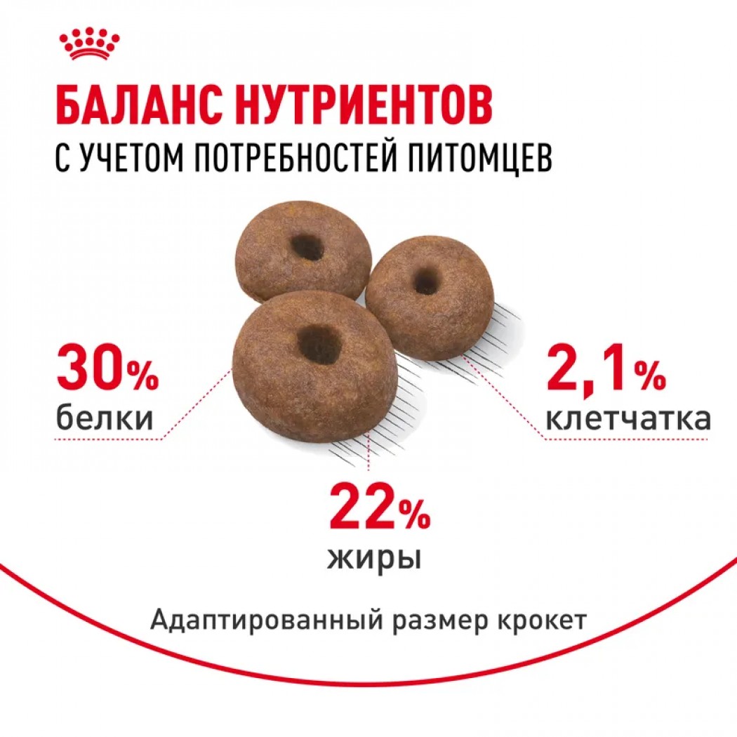 <p>Royal Canin Giant Starter Корм сухой для щенков&nbsp;(вес взрослой собаки более 45 кг) очень крупных размеров до 2 месяцев, беременных и кормящих сук.</p>