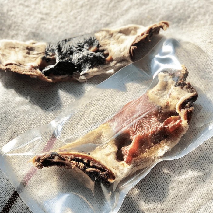 <p><strong>Говяжий сушёный нос богат йодом, железом, калием, магнием, фолиевой кислотой, которая жизненно необходима для формирования и развития иммунной и кровеносной систем.</strong></p>