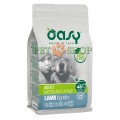 Oasy Dry Dog Adult Medium/Large 12 kg