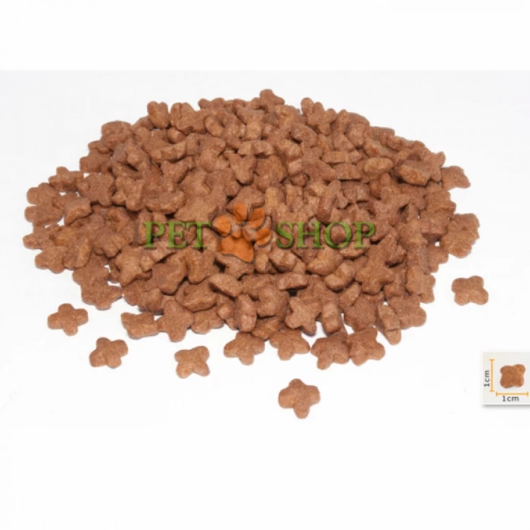 <p><strong>BonaCibo Kitten</strong> &ndash; hrană uscată completă și echilibrată, pe bază de carne de pui, hamsii și orez, destinată pisoilor cu v&acirc;rsta de p&acirc;nă la 12 luni, precum și pisicilor gestante și lactante, din toate rasele.</p>