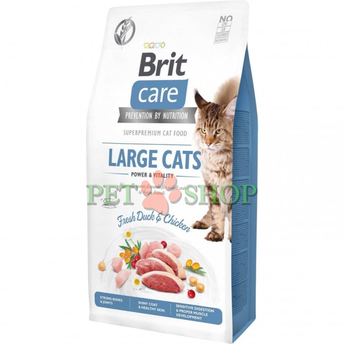 <p><strong>Brit Care Cat GF Large Cats Power and Vitality&nbsp;</strong><strong>&mdash;&nbsp;</strong>Hrană superpremium hipoalergenică, fără cereale, pentru pisici adulte de rasă mare.</p>