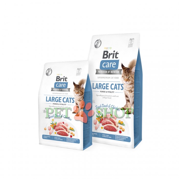 <p><strong>Brit Care Cat GF Large Cats Power and Vitality&nbsp;</strong><strong>&mdash;&nbsp;</strong>Hrană superpremium hipoalergenică, fără cereale, pentru pisici adulte de rasă mare.</p>