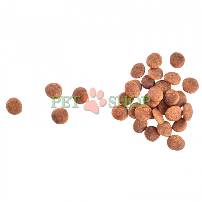 <p><strong>Brit Care Cat GF Large Cats Power and Vitality&nbsp;</strong><strong>&mdash;&nbsp;</strong>Hrană superpremium hipoalergenică, fără cereale, pentru pisici adulte de rasă mare.</p>