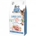 Brit Care Cat Grain-Free Large Cats power and vitality 7 kg