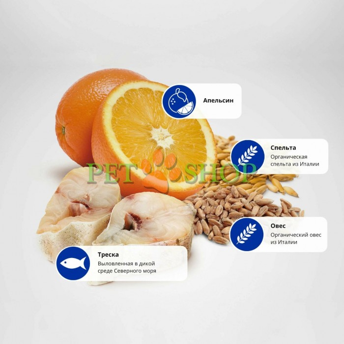 <p><strong>Farmina ND Ancestral&nbsp;Grain Codfish, Orange -&nbsp;</strong>hrană uscată completă, cu conținut scăzut de cereale, pentru pisici adulte</p>