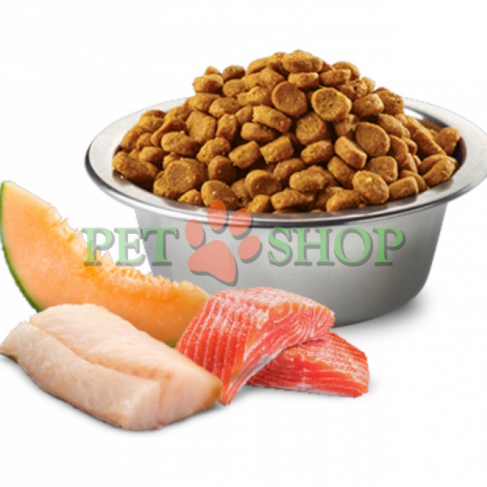 <p><strong>Farmina ND Ocean Dog Adult Mini&nbsp;Salmon, Cod,&nbsp;Cantaloupe Melon -&nbsp;</strong>somon, cod și pepene galben <em>(pepene galben de tip &bdquo;muscat&rdquo;)</em>. Hrană uscată completă, fără cereale, pentru c&acirc;ini adulți de rase mici.</p>