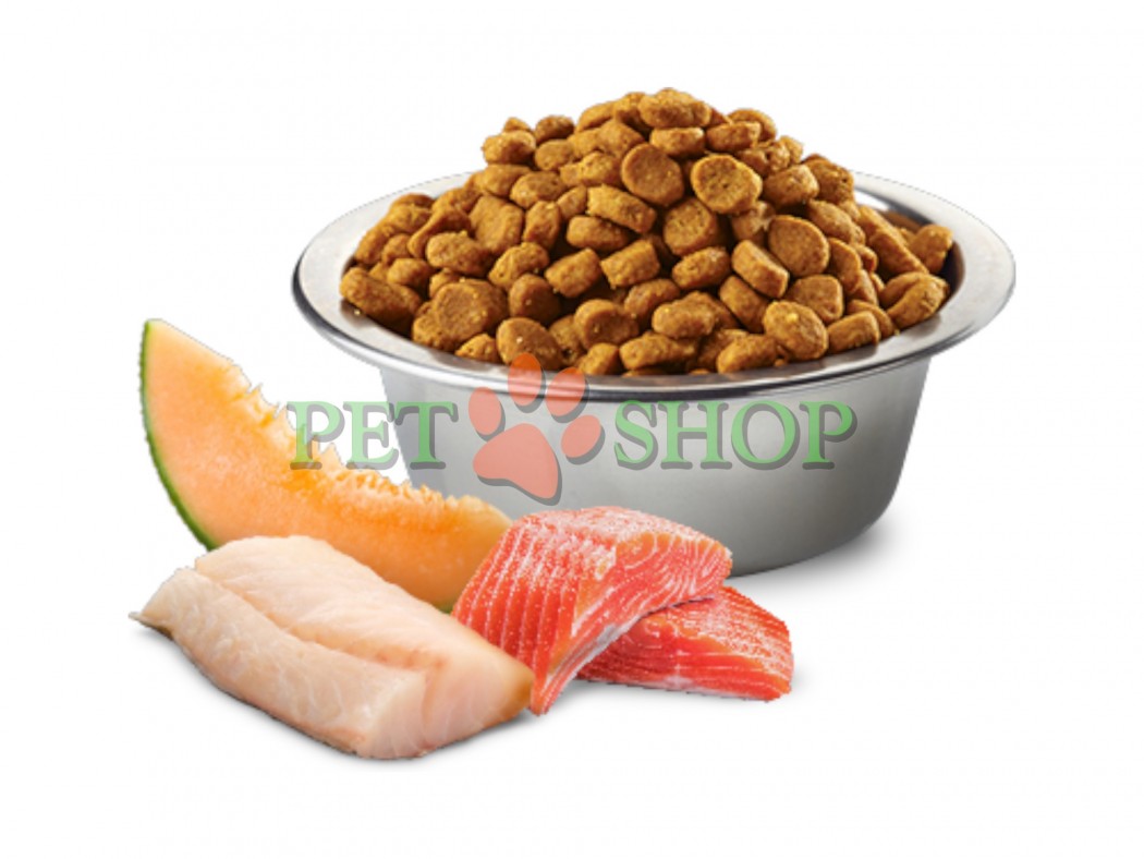 <p><strong>Farmina ND Ocean Dog Adult Mini&nbsp;Salmon, Cod,&nbsp;Cantaloupe Melon -&nbsp;</strong>somon, cod și pepene galben <em>(pepene galben de tip &bdquo;muscat&rdquo;)</em>. Hrană uscată completă, fără cereale, pentru c&acirc;ini adulți de rase mici.</p>