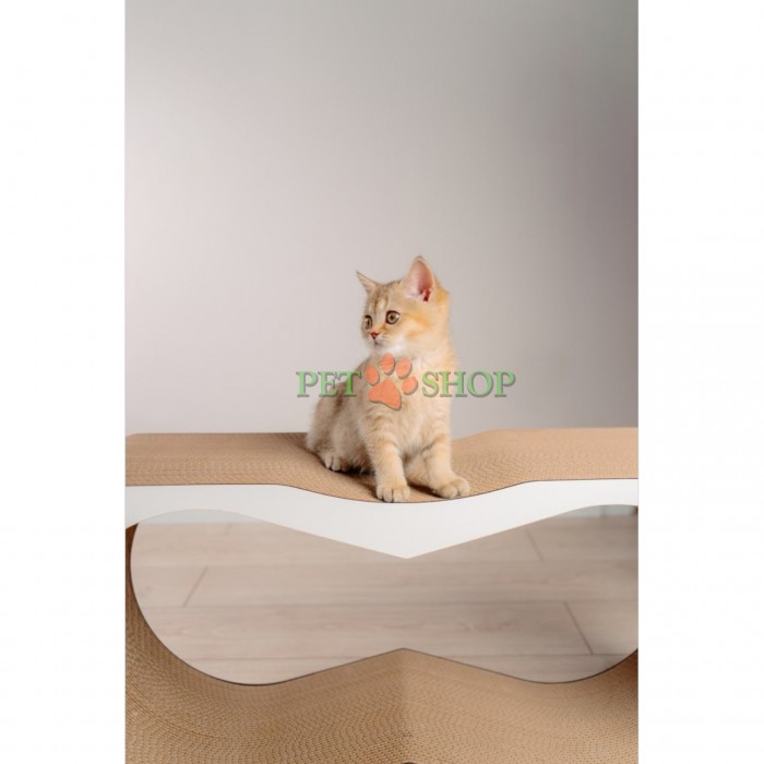 <p><strong>Dream XL</strong> &mdash; это продукт MurMarket, созданный для кошек, которым требуется максимальное пространство и комфорт. Изготавливаемая в собственной мастерской, эта модель является полным отражением философии MurMarket: функциональность, долговечность и забота о животных и окружающей среде.</p>