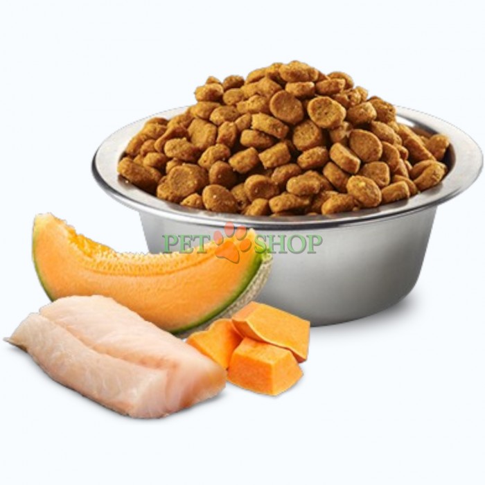 <p><strong>Farmina ND Ocean Dog Puppy Mini&nbsp;Cod, Pumpkin and Cantaloupe Melon - </strong>полнорационный беззерновой сухой корм для щенков, беременных и кормящих сук мелких пород со вкусом трески, тыквы и мускусной дыни.</p>