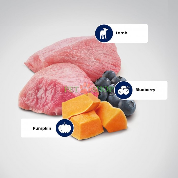 <p><strong>Farmina ND Pumpkin Dog Puppy Mini&nbsp;Lamb, blueberry -&nbsp;</strong>ягненок, тыква и черника. Полнорационный беззерновой сухой корм для щенков, беременных и кормящих сук мелких пород.</p>