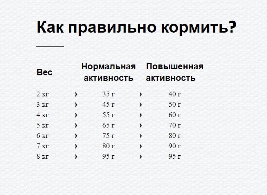 <p><strong>Благодаря ценным белкам животного происхождения из мяса птицы, ягнёнка и рыбы, эта чрезвычайно вкусная смесь крокет нравится кошкам и очень легко усваивается.&nbsp;</strong></p>