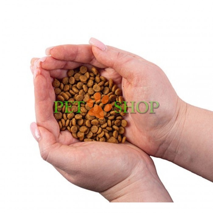 <p><strong>Nature&rsquo;s Protection Superior Care Sensitive Skin, Stomach Adult Small Breeds -&nbsp;</strong>полнорационный сухой корм с мясом ягненка для взрослых собак малых пород весом от 1 до 10 кг с чувствительным пищеварением и пищевой аллергией.</p>