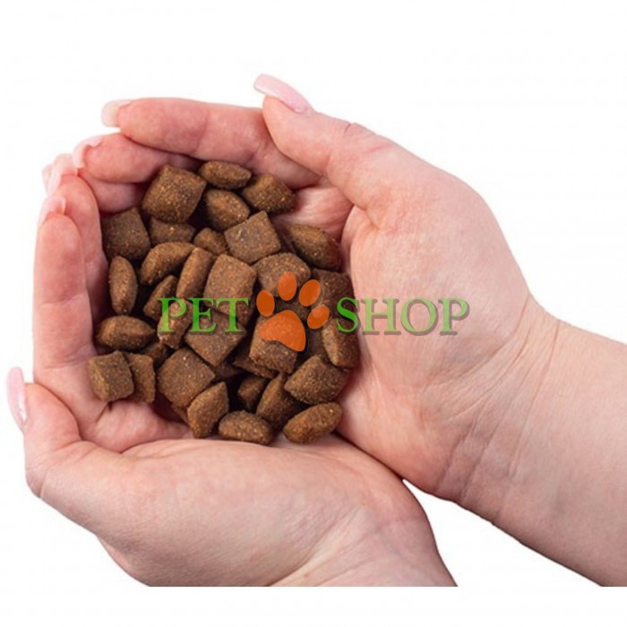 <p><strong>Nature's Protection Superior Care Dog Red Coat Grain Free Adult All Breeds Salmon -&nbsp;</strong>беззерновой полнорационный сухой корм с лососем для взрослых собак всех пород с рыжим оттенком шерсти.</p>