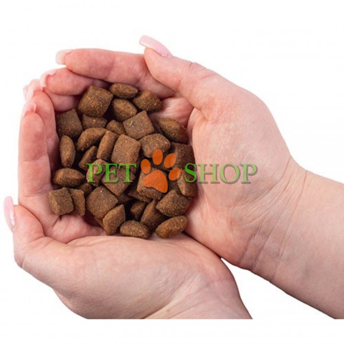 <p><strong>Nature's Protection Superior Care Dog Red Coat Grain Free Adult All Breeds Lamb -&nbsp;</strong>беззерновой полнорационный сухой корм с мясом ягненка для взрослых собак всех пород с рыжим оттенком шерсти.</p>