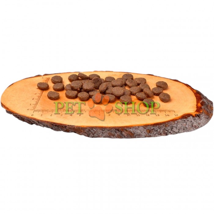 <p><strong>Carnilove Puppy Large Breed Salmon, Turkey</strong> &ndash; hrană completă fără cereale cu somon și curcan pentru căței de talie mare. Fără adaos de cereale și cartofi.</p>