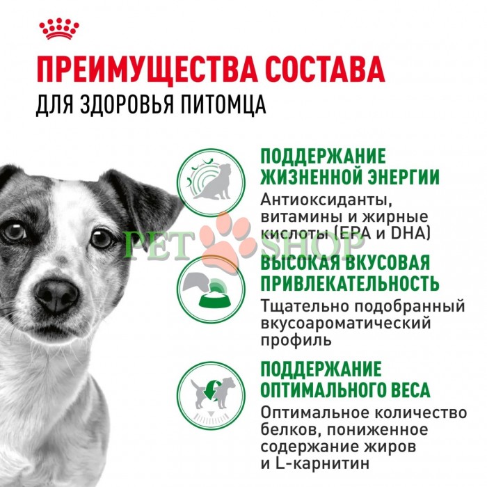 <p><strong>Royal Canin Mini Adult 8+ -&nbsp;</strong>корм сухой для взрослых собак мелких размеров (до 10 кг) старше 8 лет.</p>