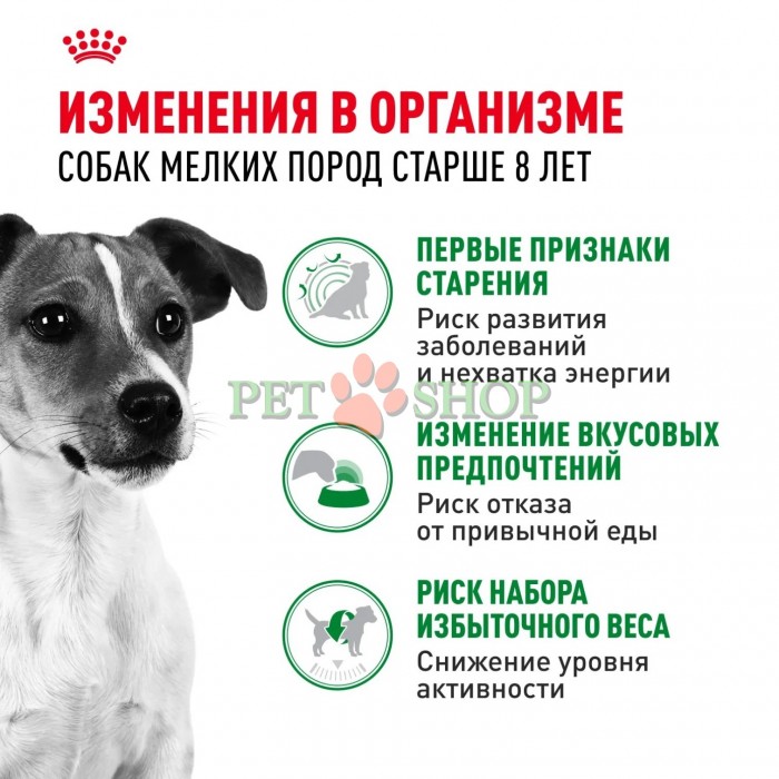 <p><strong>Royal Canin Mini Adult 8+ -&nbsp;</strong>корм сухой для взрослых собак мелких размеров (до 10 кг) старше 8 лет.</p>
