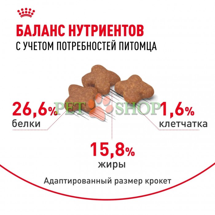 <p><strong>Royal Canin Mini Adult 8+ -&nbsp;</strong>корм сухой для взрослых собак мелких размеров (до 10 кг) старше 8 лет.</p>