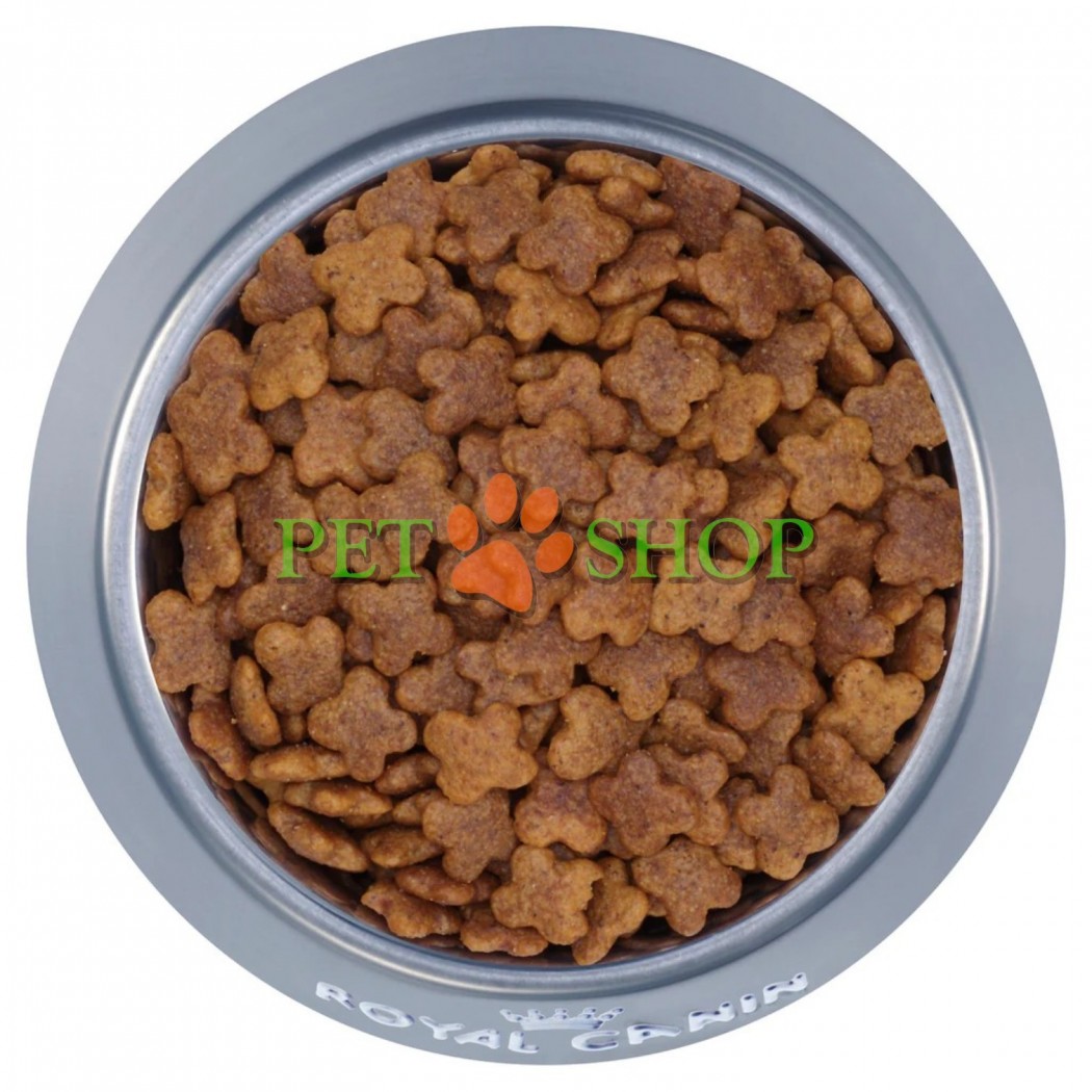 <p><strong>Royal Canin Mini Adult 8+ -&nbsp;</strong>корм сухой для взрослых собак мелких размеров (до 10 кг) старше 8 лет.</p>
