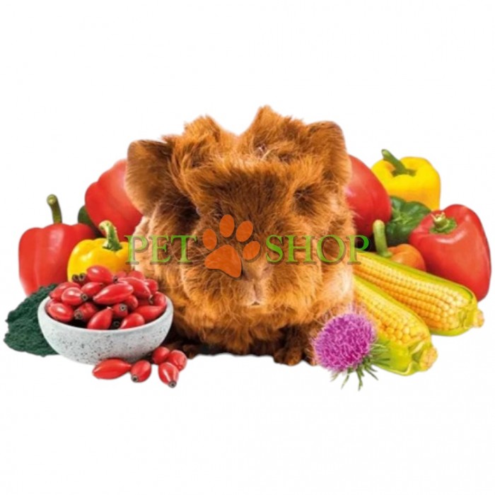 <p><strong>Brit Animals Guinea Pig Complete - </strong>супер премиум полнорационный корм для морских свинок<strong>.</strong> Содержит натуральные источники витамина С. В состав входит расторопша пятнистая (<em>Silybum marianum</em>), которая способствует здоровому пищеварению и нормальному обмену веществ.</p>