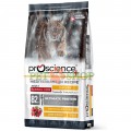 ProScience Cat Adult Hairball 15 kg