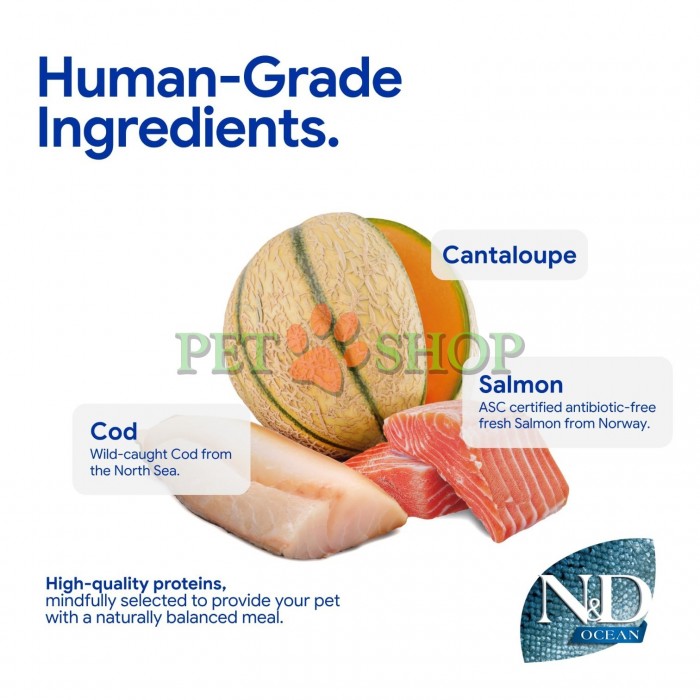 <p><strong>Farmina ND Ocean Dog Adult Medium, Maxi&nbsp;Salmon, Cod, Cantalupe Melon - </strong>лосось, треска и мускусная дыня. Полнорационный сухой корм для взрослых собак средних и крупных пород.</p>