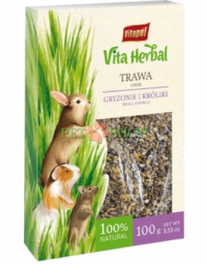 <p><strong>VITAPOL Vita Herbal Grass -&nbsp;</strong>трава (ячмень) для грызунов и кроликов. Дополнительный корм для грызунов и кроликов. Трава для самостоятельного выращивания.</p>