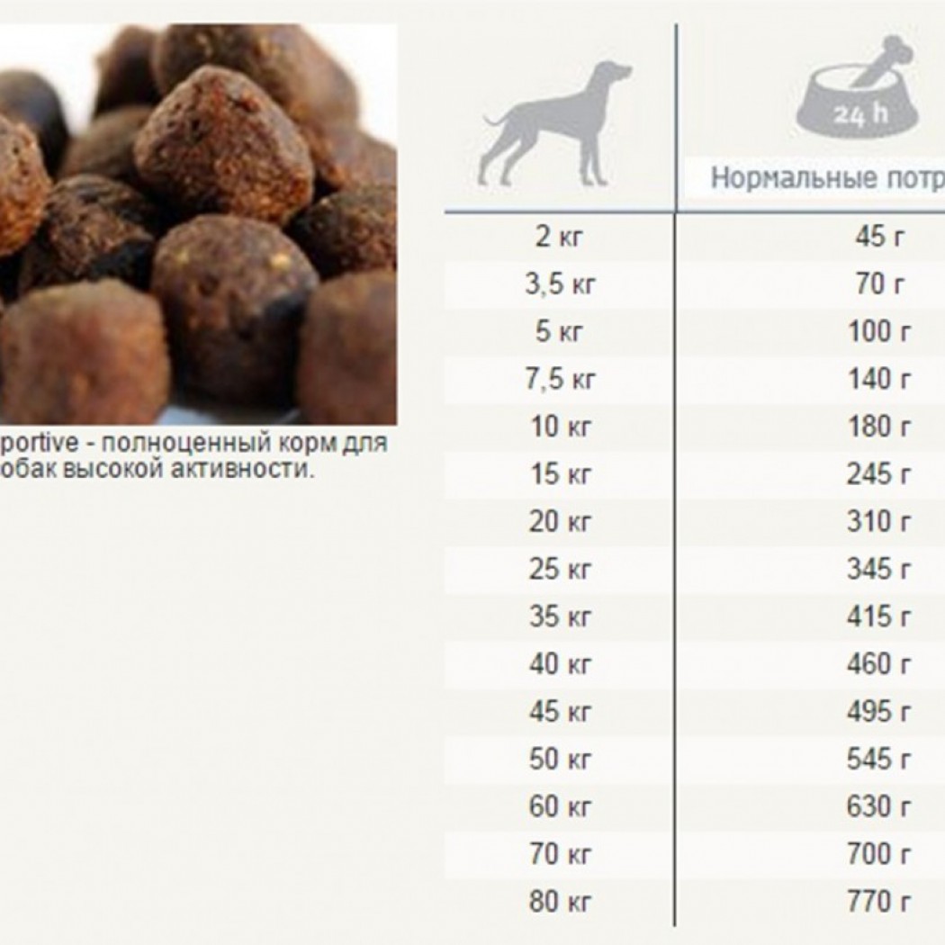 <p><strong>Полноценный сбалансированный корм Happy Dog Sportive 20 KG для взрослых собак с высокой активностью. Подходит собакам уличного и вольерного содержания. Изготовлен из высококачественного мяса и полезных злаков.</strong></p>