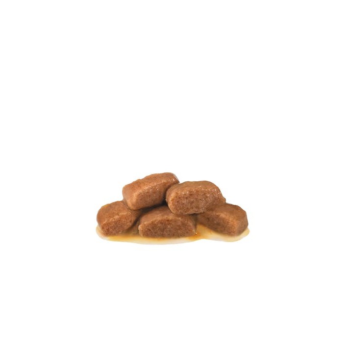 <p><strong>Корм консервированный полнорационный диетический для кошек с нарушениями пищеварения при панкреатите и нарушениях пищеварения. Ветеринарная диета.</strong></p>