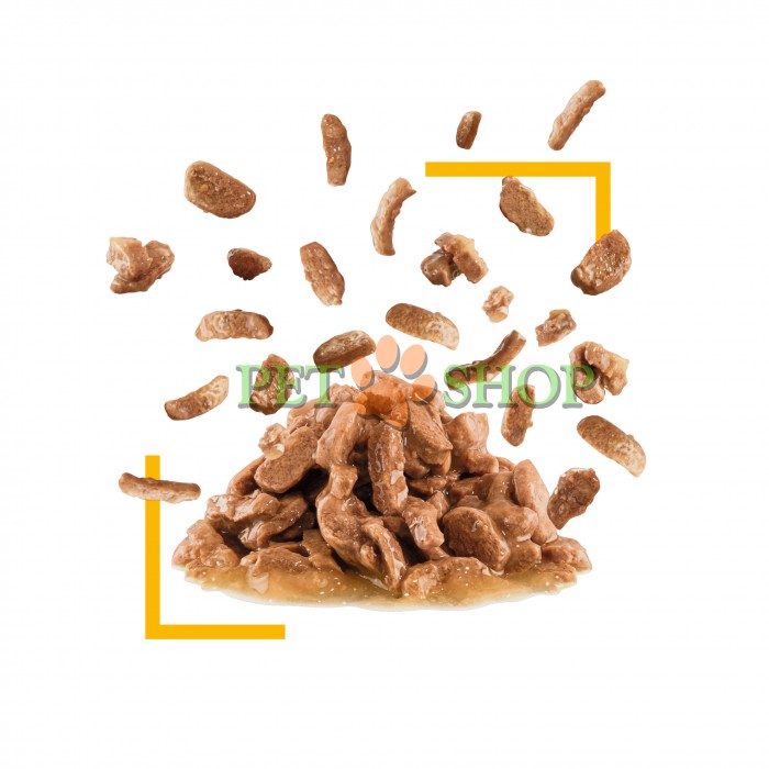 <p><strong>Полнорационный влажный корм в виде аппетитных кусочков в соусе с особым сочетанием ингредиентов, которое стимулирует вкусовые рецепторы у кошек и улучшает их впечатления от принятия пищи.</strong></p>