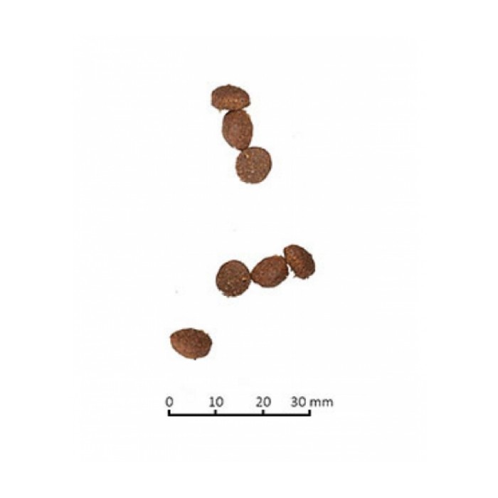 <p><strong>Farmina N&D LG LAMB & BLUEBERRY ADULT - низкозерновой корм для взрослых котов и кошек с мясом ягненка и свежей черникой, с небольшим добавлением зерновых (спельта и овес), специально разработанных с учетом плотоядной природы кошек. Данная диета предотвращает ожирение и диабет из-за низкого гликемического индекса.</strong></p>