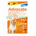 Advocate
